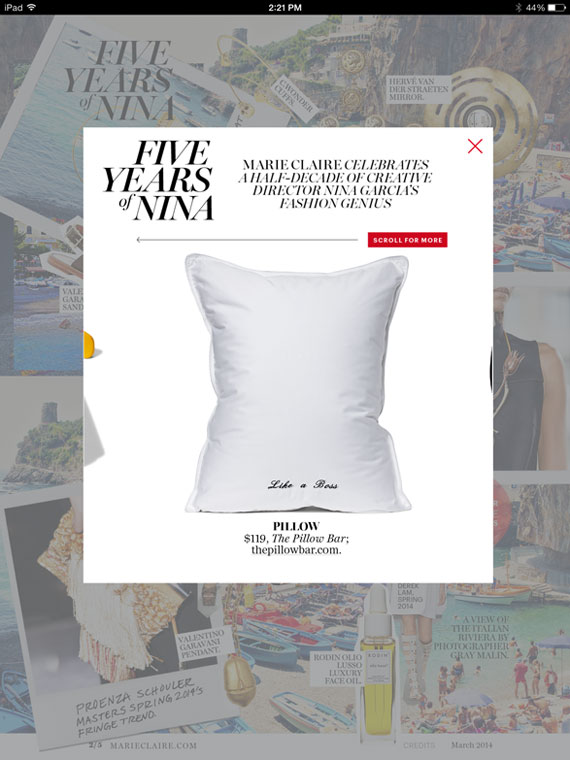 Jetsetter Mini® Pillow – The Pillow Bar